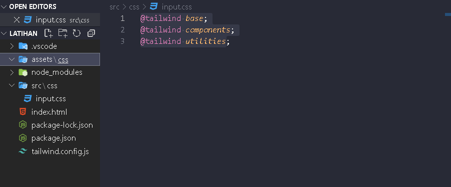 css input